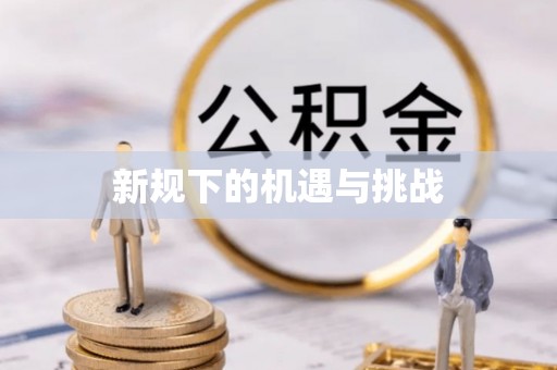 安塞新规下的机遇与挑战