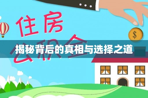 安塞揭秘背后的真相与选择之道
